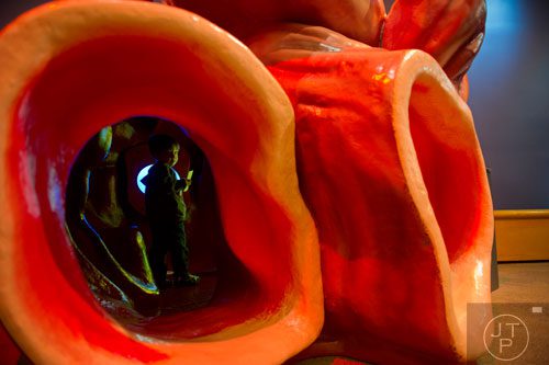 Asher Halpern (left) walks inside of a lifesize replica of a whale heart inside the Whales, Giants of the Deep exhibit at the Fernbank Museum of Natural History in Atlanta on Sunday, March 16, 2014. 