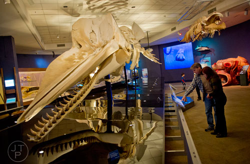 Sholpan Floyd (right) and her husband Arelon look at the fossils on display inside the Whales, Giants of the Deep exhibit at the Fernbank Museum of Natural History in Atlanta on Sunday, March 16, 2014. 