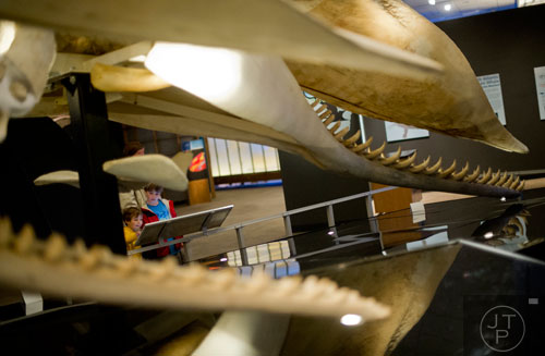 Will Mixson (left) and his brother Charlie look at the fossils on display inside the Whales, Giants of the Deep exhibit at the Fernbank Museum of Natural History in Atlanta on Sunday, March 16, 2014. 