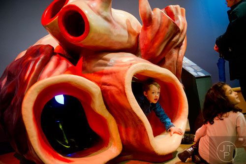 Victor Warland (right) crawls out of a lifesize replica of a whale heart inside the Whales, Giants of the Deep exhibit at the Fernbank Museum of Natural History in Atlanta on Sunday, March 16, 2014. 