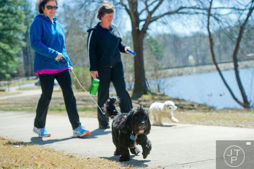 Po (front) leads his owner Linda Cahn and her friend Vicki Robertson with her dog Charlie along the path around the pond at Murphey Candler Park in Brookhaven on Thursday, March 20, 2014.  
