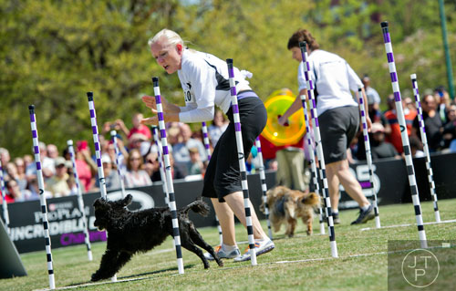 Rhonda Koeske runs next to Tack in the 30-Weave-Up-and-Back Competition during the Purina Pro Plan Incredible Dog Challenge at Centennial Olympic Park in Atlanta on Saturday, April 5, 2014. 