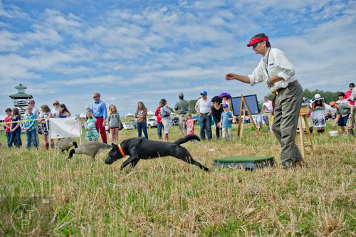 Brian Szczech (right) and his black lab Chili give a retriever demonstration during the 49th Annual Running of the Atlanta Steeplechase At Kingston Downs in Rome on Saturday, April 19, 2014. 