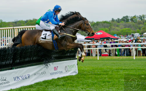 Jockey Bernard Dalton rides Love of Flying as they clear a hurdle in the Goose Island Beer Co. Maiden Claiming Hurdle during the 49th Annual Running of the Atlanta Steeplechase At Kingston Downs in Rome on Saturday, April 19, 2014. 