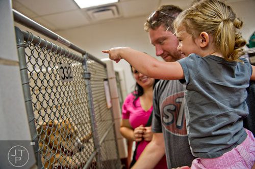 Aellan Barnes (right) points a dog out to her father Keith and mother Hillary during the Art, Barks & Purrs Arts and Crafts Festival at the Cobb County Animal Control facility in Marietta on Saturday, June 21, 2014. 
