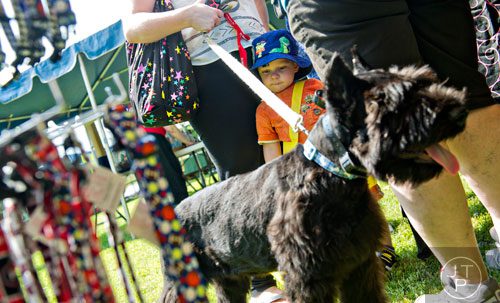 Tyler Toebben (center) walks with his family and giant schnauzer Loki during the Art, Barks & Purrs Arts and Crafts Festival at the Cobb County Animal Control facility in Marietta on Saturday, June 21, 2014. 
