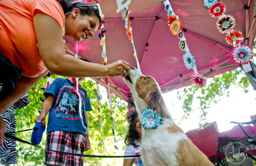 Mariamar Masso feeds Molly, a mixed breed, a dog treat during the Art, Barks & Purrs Arts and Crafts Festival at the Cobb County Animal Control facility in Marietta on Saturday, June 21, 2014. 