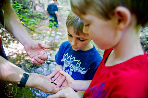 Eli Walven (center) and Markus Seller check out a salamander found in Sam's Creek during summer camp at Autrey Mill Nature Preserve in Johns Creek on Monday, July 14, 2014. 