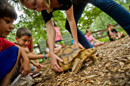 Mary Alston (top) places Pebbles (center), an African spur-thighed tortoise, in front of Brewer Patel (left) and Ron Barel as they get a chance to feel her legs and shell during summer camp at Autrey Mill Nature Preserve in Johns Creek on Monday, July 14, 2014.