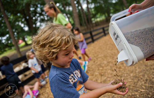 Rob Sills (center) gets a handful of food as campers feed some of the animals during Camp Serenbe in Chattahoochee Hills on Tuesday, July 15, 2014.   