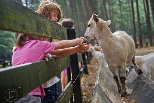 Brooks Kiefer (left) and Jacob Mosley feed a goat during Camp Serenbe in Chattahoochee Hills on Tuesday, July 15, 2014. 