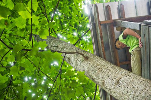 Jake Carson keeps an eye on campers from the top of a tree house during Camp Serenbe in Chattahoochee Hills on Tuesday, July 15, 2014.  