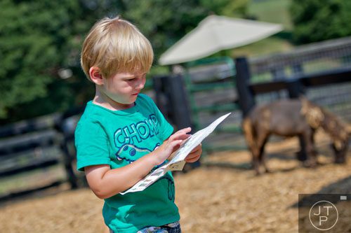 Jacob Lyons checks his map as he walks through the miniature horse enclosure at Tanglewood Farm in Canton on Wednesday, August 6, 2014. 