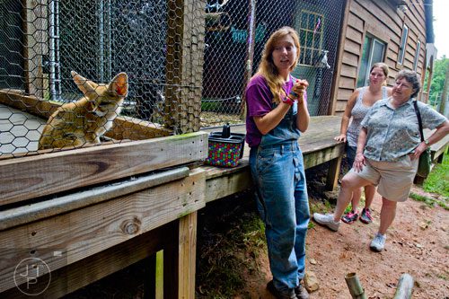 Shannon Kelly (center) tells Barbara Hamm (right) and her daughter Monica about the fennec fox to her left during a tour at the North Georgia Zoo and Petting Farm in Cleveland on Sunday, August 10, 2014. 