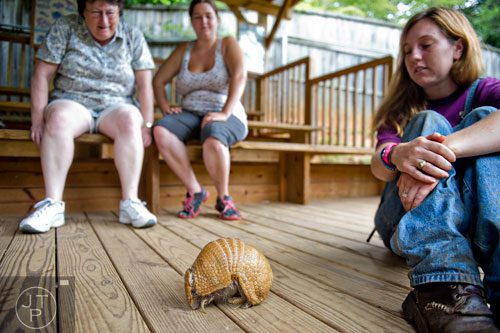 Barbara Hamm (left), her daughter Monica and Shannon Kelly watch a three banded armadillo during a tour at the North Georgia Zoo and Petting Farm in Cleveland on Sunday, August 10, 2014.