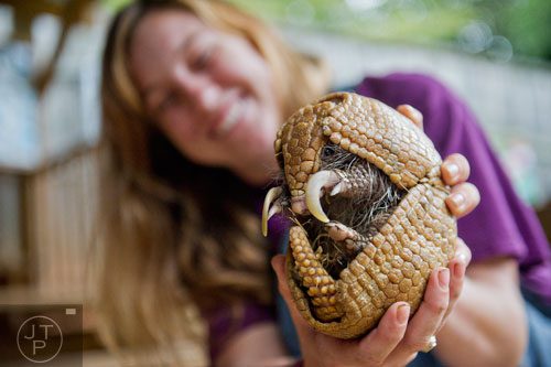 Shannon Kelly holds a three banded armadillo during a tour at the North Georgia Zoo and Petting Farm in Cleveland on Sunday, August 10, 2014.