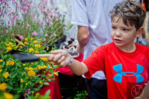 Will Friedman tries to coax a butterfly onto a paint stick dipped in nectar during the Butterfly Festival at the Dunwoody Nature Center on Saturday, August 16, 2014.