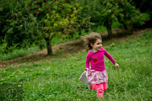 Leora Sokol runs through the meadow that makes up part of B.J. Reece Orchards in Ellijay on Sunday, September 14, 2014.  