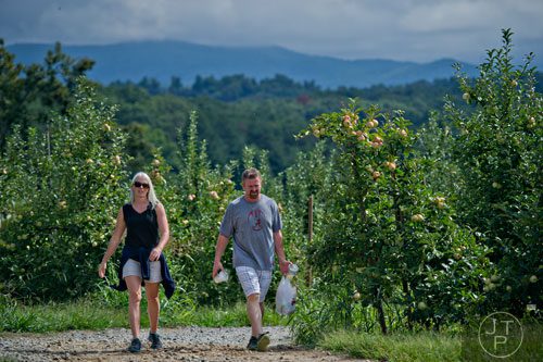 Jenny Bryant (left) and her husband Steven walk the tractor path carrying a bag of apples at Mercier Orchards in Blue Ridge on Sunday, September 14, 2014. 