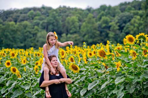 Tara Parks points to a good spot for photos as she rides on her mother Tricia's shoulders in a field of sunflowers outside of Dawsonville on Sunday, September 14, 2014.