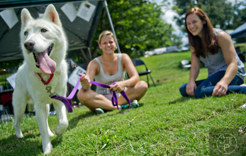 Shadow (left) paces on the grass as Jennifer Doi talks to Emma Grin (right) about adopting during the Dog Days of Summer event outside of Park Tavern at Piedmont Park in Atlanta on Saturday, August 30, 2014. 