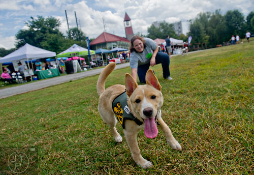 Luna, a golden-husky mix, is walked by Chelsea Crenshaw during the Dog Days of Summer event outside of Park Tavern at Piedmont Park in Atlanta on Saturday, August 30, 2014. 