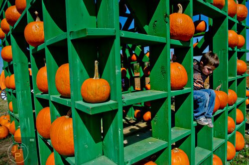 Cody Hawkins climbs through an empty window in a house full of pumpkins at Corn Dawgs in Loganville on Sunday, October 5, 2014.  