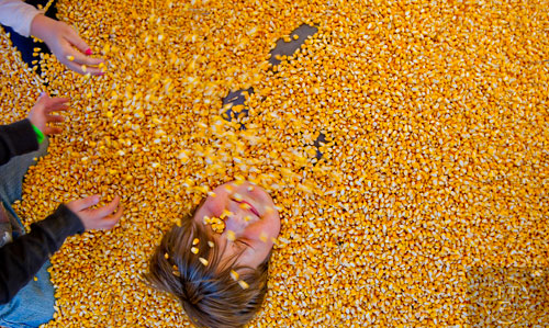 Hayden Patterson (left) and Sophie Davies cover Casey Romond with kernels of corn at Corn Dawgs in Loganville on Sunday, October 5, 2014.