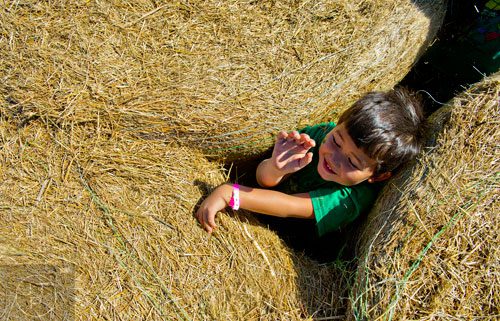 Isaac Thai climbs out of a space in between hay bales at Corn Dawgs in Loganville on Sunday, October 5, 2014.