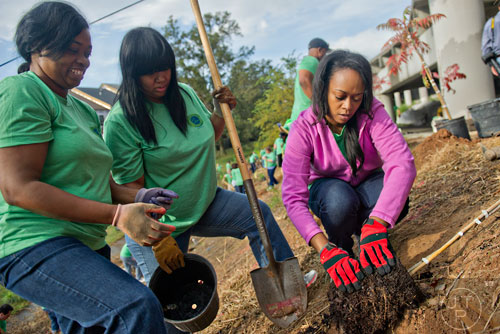 Taz Knight (right) loosens dirt around the roots of a smooth sumac tree as Lynn White and April Wilkerson help her plant it along the Atlanta Beltline on Wednesday, October 8, 2014. 