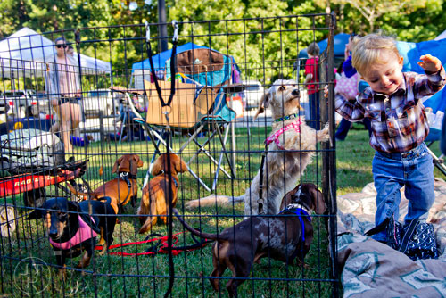 Otis Upstad (right) holds onto a cage holding his family's five dogs during Howl-O-Weenie at Liane Levetan Park at Brook Run in Dunwoody on Saturday, October 4, 2014. 