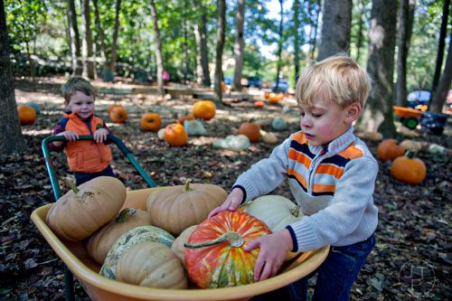 Drew Loveless (right) places a pumpkin in a wheelbarrow as Maddux Sherrill holds it steady at Scottsdale Farms in Alpharetta on Saturday, October 4, 2014.  