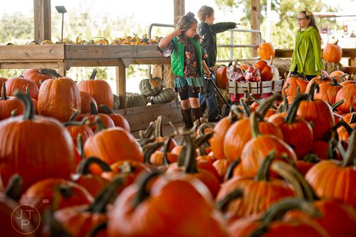 Gabrielle Gavranovic (left) pulls a wagon as her cousin Owen Feltmate and sister Alexandra help pick out pumpkins at Kinsey Family Farm in Cumming on Saturday, October 4, 2014. 