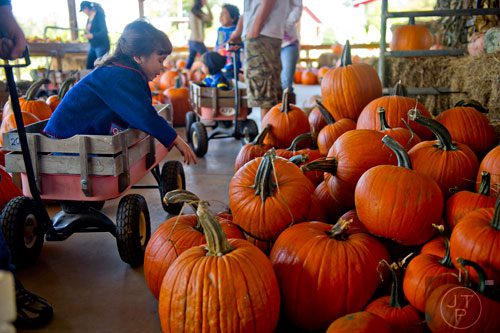 Sierra Piper (left) stretches to touch a pumpkin as he father pulls her around in a wagon at Kinsey Family Farm in Cumming on Saturday, October 4, 2014. 