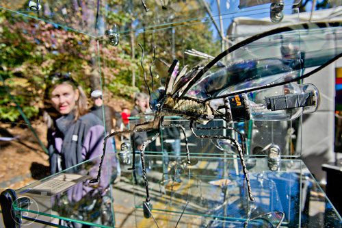 A glass and found object bug sculpture sits on display in Veronica and David Bennet's booth as Erin Rogan passes by during the Chastain Park Art Festival in Atlanta on Sunday, November 2, 2014.