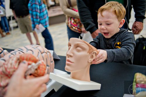 Henry Carter (right) looks inside the model of a brain cavity during Science at Hand at the Fernbank Museum of Natural History in Atlanta on Saturday, November 8, 2014.