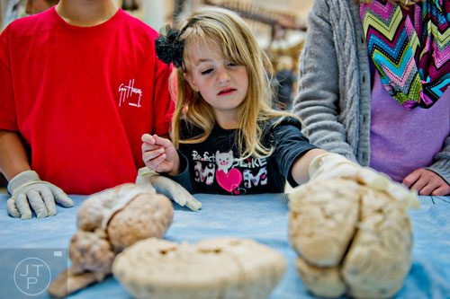 Lily Anne Perry (center) touches a human brain during Science at Hand at the Fernbank Museum of Natural History in Atlanta on Saturday, November 8, 2014. 