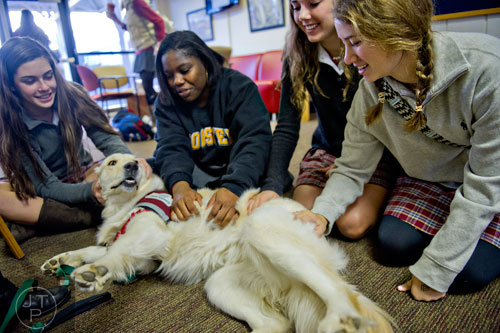 Elizabeth Seraten (left), Khorkie Tyus, Emma White and Sarah Kate Schoen pet Adidas, a golden retriever with the Canine Assistants program, as they take a break from studying for final exams at Holy Innocents' Episcopal School in Atlanta on Friday, December 19, 2014.