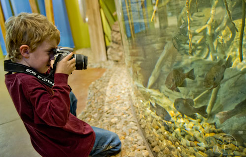 Ian Taylor takes a photograph of fish inside the Chattahoochee Nature Center during the Back-to-Nature Holiday Market and Festival in Roswell on Saturday, December 6, 2014. 