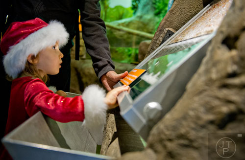 Alula Taylor looks at one of the exhibits inside the Chattahoochee Nature Center during the Back-to-Nature Holiday Market and Festival in Roswell on Saturday, December 6, 2014. 