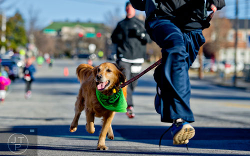 Sam (center) follows close on the heels of his owner Keith Tinaglia as they near the finish line during the 10th annual Run with the Dogs Frostbite 5k in Decatur on Saturday, January 10, 2015. 