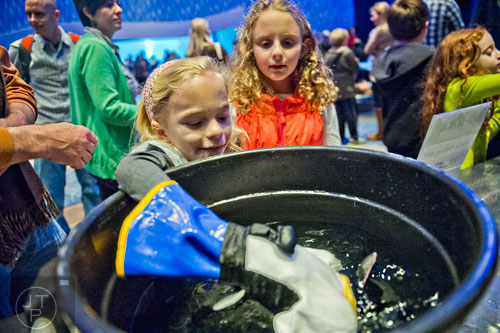 Bethany Rydell (left) learns how a penguin keeps its feather dry in water as Rachel Landau waits for her turn during the Party with the Penguins event at the Georgia Aquarium in downtown Atlanta on Saturday, January 17, 2015. 