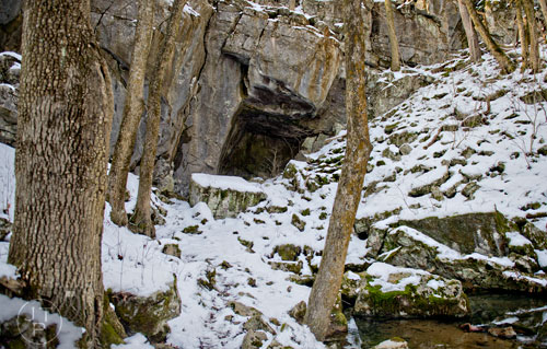 Snow covers the trail leading to the entrance of Frick's Cave in Chickamauga, Ga. during the Southeastern Cave Conservancy Inc.'s open house on Saturday, February 28, 2015. 
