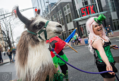 A llama named Tonka follows his owner Astrid Lyons down Peachtree St. during the 2015 Atlanta St. Patrick's Parade on Saturday, March 14, 2015. 