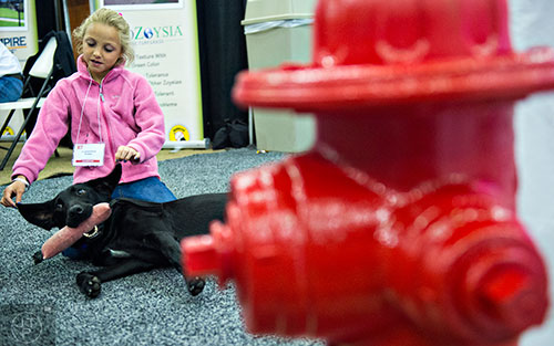 Laikyn Boswell (left) plays with Coal, an American field labrador who works as a mascot for a dog training company, during the 37th annual Spring Atlanta Home Show at the Cobb Galleria Centre in Atlanta on Sunday, March 22, 2015.