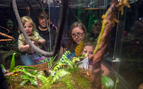 Lily McCown (right), her mother Jennifer, father Brian and sister Kenzie look at poison frogs inside The Power of Poison exhibit during the Spring Egg-stravaganza event at the Fernbank Museum of Natural History in Atlanta on Saturday, March 28, 2015. 