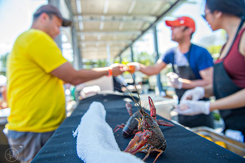 Live crawfish watch people come up to try some low country cooking during the second annual Blue Moon Beltline Boil at the Fourth Ward Skate Park along the Beltline's Eastside Trail in Atlanta on Saturday, April 4, 2015. 