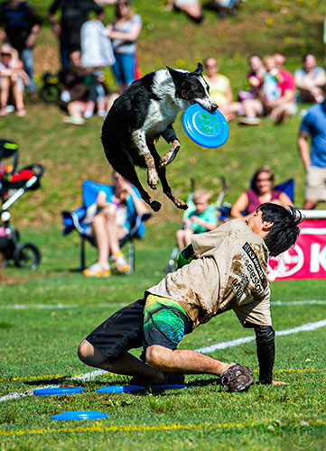 Kouske Hirai and his border collie Jake compete in The Disc Dog Southern Nationals during the 79th annual Atlanta Dogwood Festival at Piedmont Park on Saturday, April 11, 2015.