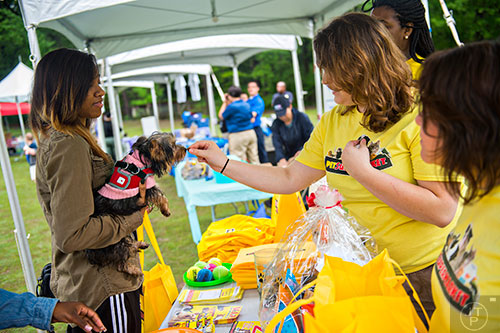 Liz Sellito (right) tries to give Lilo a treat as her owner Stacia Ghani holds her in her arms during the Paws for a Cause event at Glenlake Park in Decatur on Saturday, April 18, 2015.