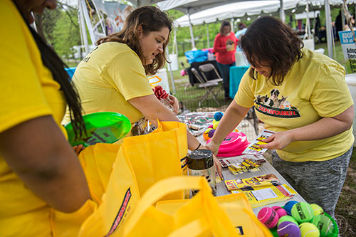 Sue Polhamus (right) and Liz Sellito fill goodie bags with fun treats for dogs during the Paws for a Cause event at Glenlake Park in Decatur on Saturday, April 18, 2015.